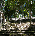 Site maya de Calakmul, Ruta Becan, www.terre-maya.com